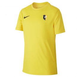 Maillot Enfant - NIKE - FC...